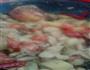闷烧喜食的做法图解1