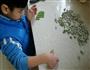 菠菜猫耳朵的做法图解5
