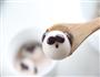 熊猫汤圆的做法图解10