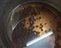 红豆汤圆的做法图解3