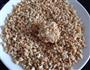 花生杏仁球的做法图解6