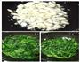 蒜蓉炒菠菜的做法图解3