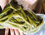 炒酸笋的做法图解3