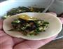 荠菜饺子的做法图解5