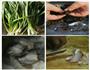 韭菜木耳虾仁猪肉水饺的做法图解1