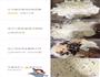 DIY 花生牛轧糖的做法图解2