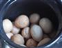茶叶蛋的做法的做法图解4