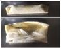 春卷的做法图解7