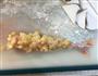 炸虾天妇罗的做法图解14
