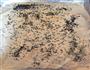 蛋白芝麻脆片的做法图解3