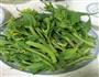 白灼菜心的做法图解1