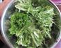 受欢迎年菜总结-凉拌苦菊的做法图解1