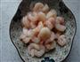 糖醋脆皮虾仁的做法图解1