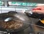 肉丝拉皮酸辣味的做法图解5