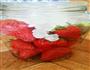 超简单草莓罐头的做法图解2