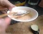 简易版茄饼的做法图解4