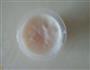 苹果酸奶棒冰的做法图解6