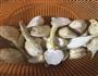 茨菇烧肉的做法图解4