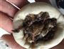 梅干菜饼的做法图解5