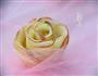 女神专属-玫瑰之约的做法图解14