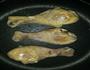 香口鸡腿肉的做法图解3