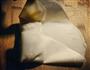 芝士春卷的做法图解7