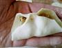 猪肉香菇饺子的做法图解7