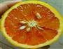 橙皮酱的做法图解17
