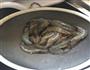 油焖大虾的做法图解3