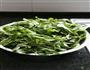 凉拌马兰头的做法图解1