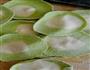 白菜饺子的做法图解8