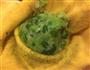 青菜香菇包子的做法图解5