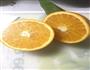 橙汁缤纷虾串的做法图解2