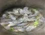 橙汁缤纷虾串的做法图解5