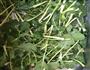 苔菜小豆腐的做法图解1