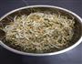 用壶自己生绿豆芽的做法图解7