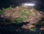 爆炒牛肉 蒜蓉牛肉的做法图解5
