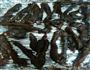 自制风干牛肉干的做法图解4