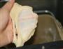 香葱肉松面包卷的做法步骤6