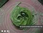 菠菜面的做法图解7
