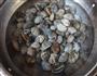 黑胡椒爆花蛤的做法图解2