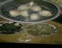 蒜黄炒肉丝的做法图解4