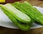 苦瓜不苦的做法图解1