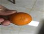 金桔蜜饯的做法图解1