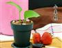 盆栽酸奶的做法图解13