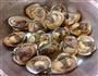 出彩毛蚶的做法步骤8