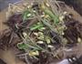 腊肉炖豆芽菜的做法图解1