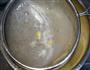 牛奶炖蛋的做法图解4