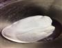 椰肉红豆糕的做法图解5