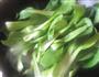 香菇青菜的做法图解6